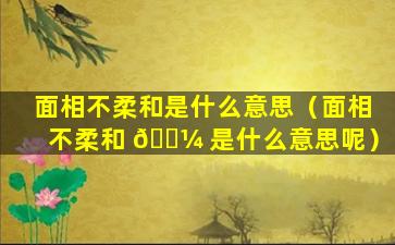 面相不柔和是什么意思（面相不柔和 🐼 是什么意思呢）